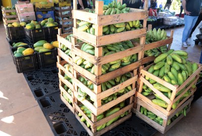 Compra Direta de Araguaína faz chamada pública para aquisição de alimentos dos agricultores familiares