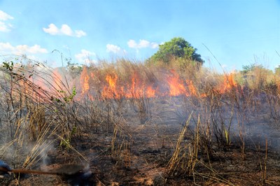 Nenhum incêndio começa grande: Araguaína inicia campanha de combate às queimadas
