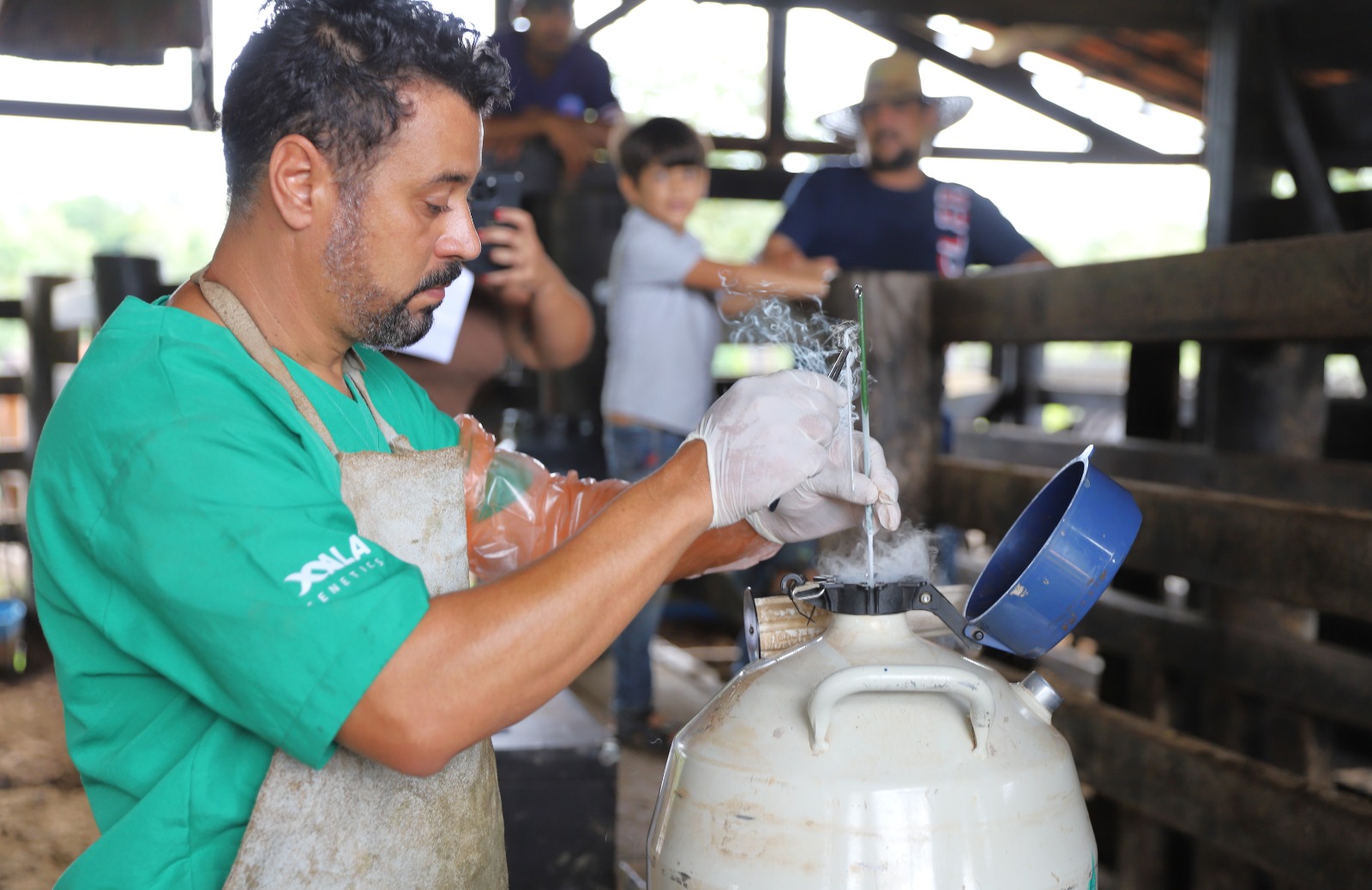 Araguaína avança com programa de inseminação artificial gratuita em bovinos