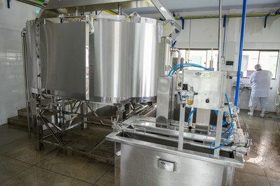 Laticínio Municipal de Araguaína entra em operação para produção de leite, queijo e iogurte