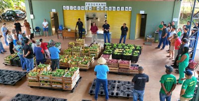 Prefeitura inicia nova etapa do programa Alimenta Araguaína