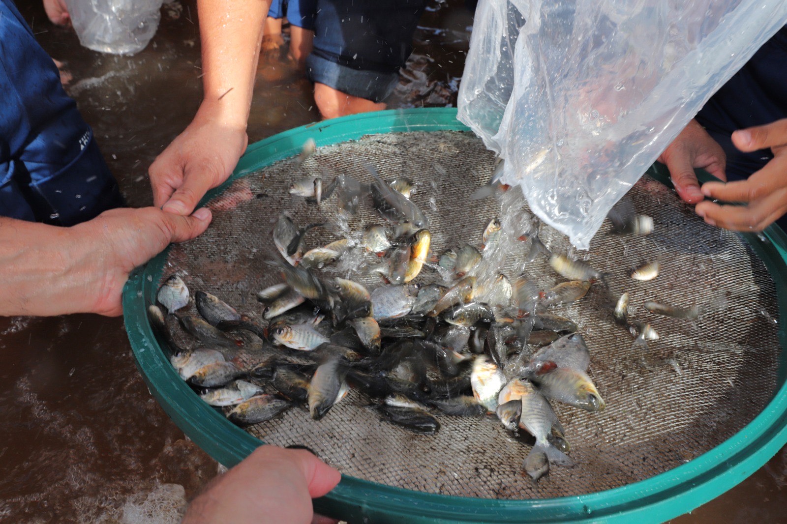 O projeto continuará sendo executado com o apoio de parceiros e da comunidade para garantir o equilíbrio ambiental da região