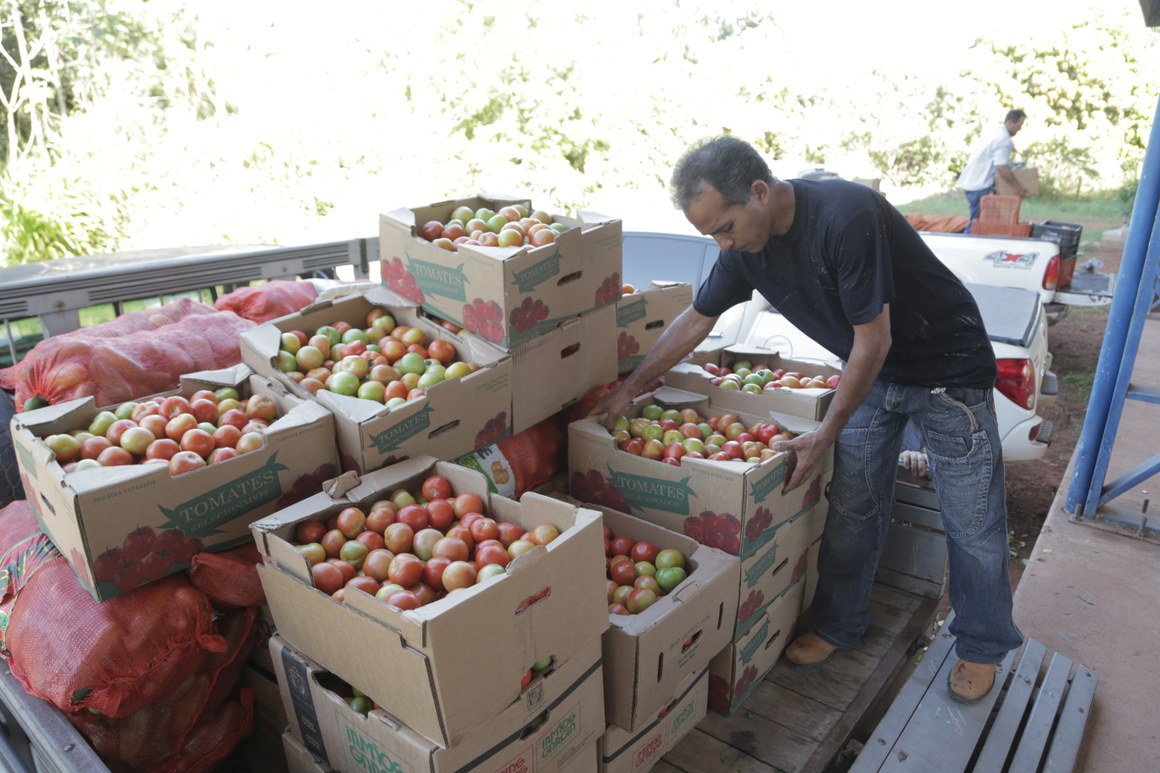 Araguaína abre credenciamento para agricultores familiares fornecerem alimentos a entidades beneficentes