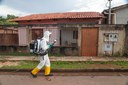 Araguaína: casos de dengue quase duplicam em nove dias