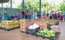 Araguaína investe R$ 740 mil na compra de alimentos da agricultura familiar para instituições