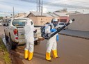 Araguaína tem três óbitos confirmados pela Dengue