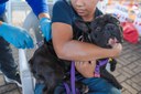 Mobilização na Via Lago promove vacinação de mais de 500 cães e gatos contra a raiva em Araguaína