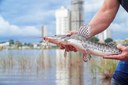 Prefeitura promove dia de pesca no Lago Azul