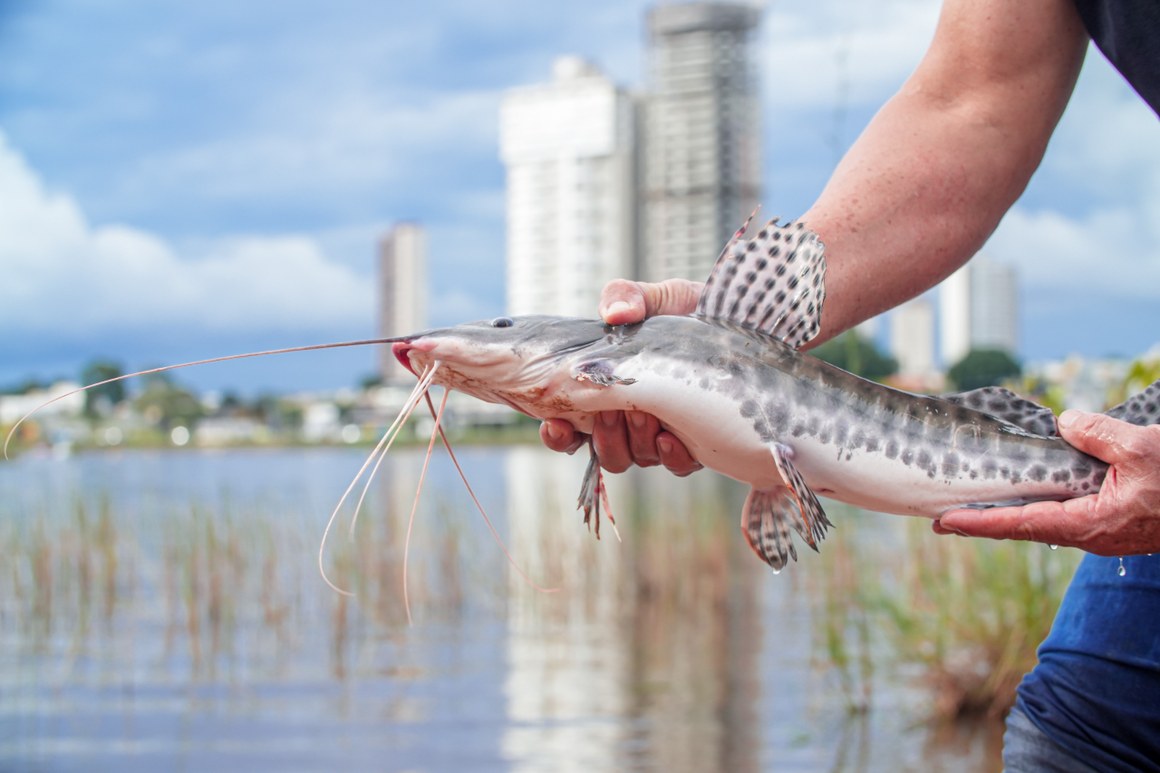 Prefeitura promove dia de pesca no Lago Azul